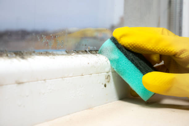 Best Mold Cleaning Services  in Milton, PA