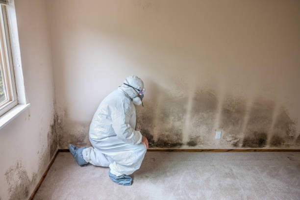 Office Mold Removal Services in Milton, PA