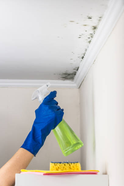 Best Mold Testing  in Milton, PA